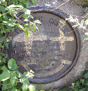PLAQUE 009 Plympton Castle.JPG